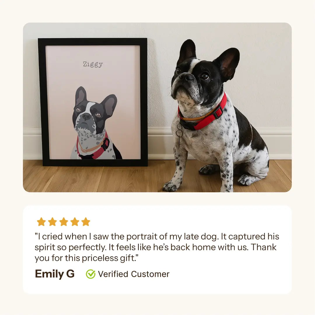 Signature Modern Pet Portrait