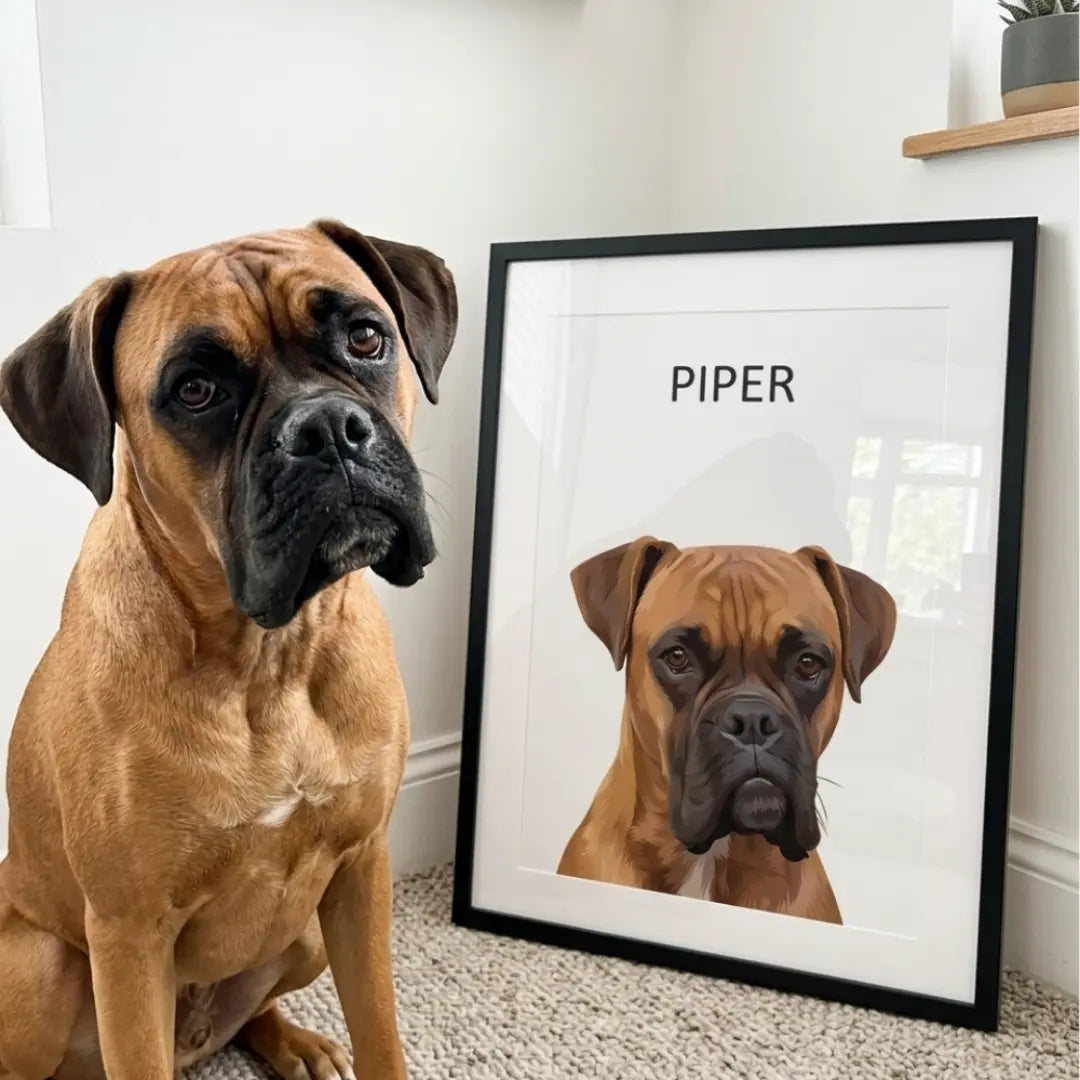 Signature Modern Pet Portrait