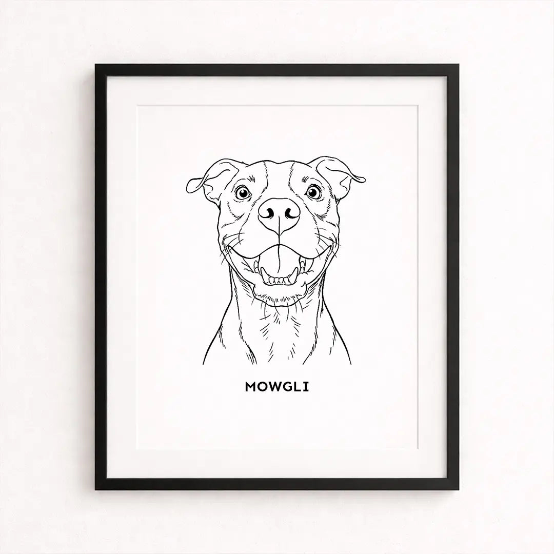 Timeless Outline Art